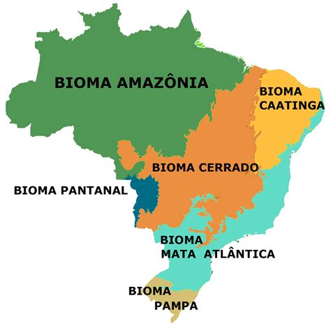 quais biomas abrange a cidade ou região em que você mora